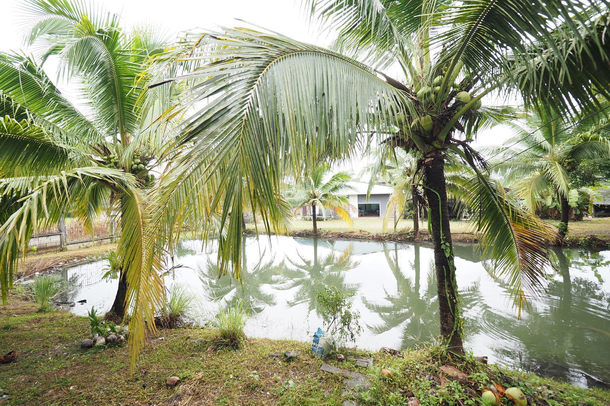 Oyo 75515 Sairung Farmstay Krabi town Eksteriør bilde