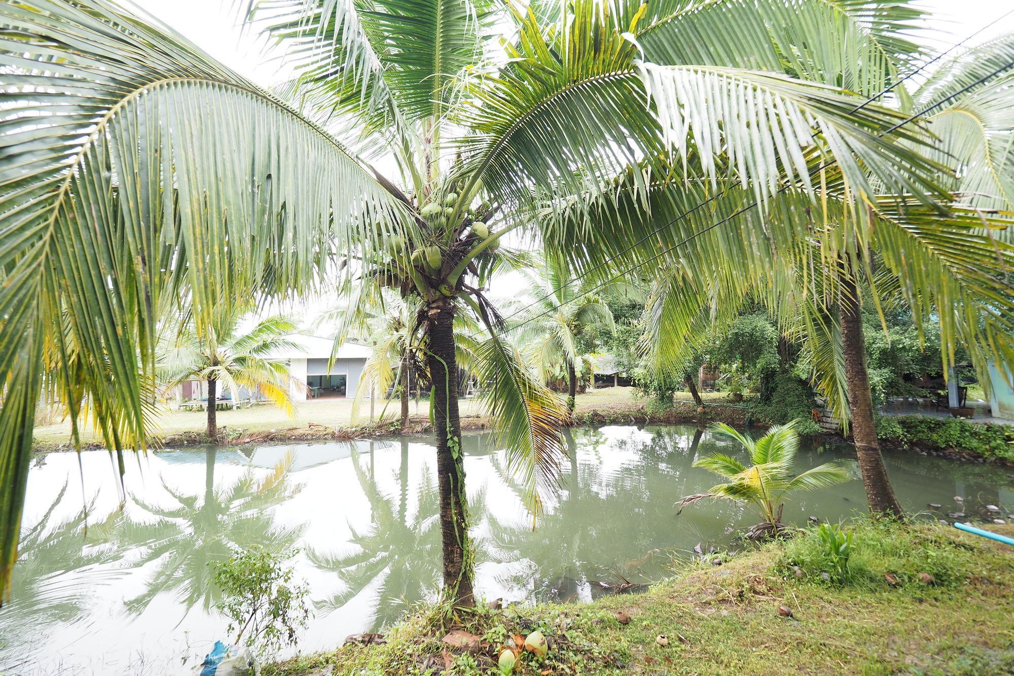 Oyo 75515 Sairung Farmstay Krabi town Eksteriør bilde